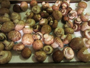 Mushrooms, rinsed and drained.