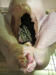 Rosemary and sage in the bird.