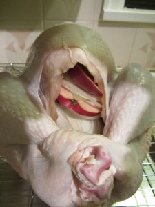 Apple, onion, and cinnamon stick placed in the bird.