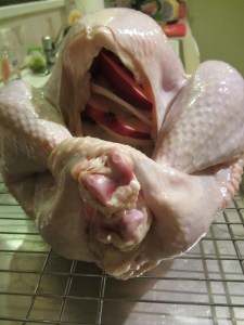 Turkey, filled with aromatics and oiled up.