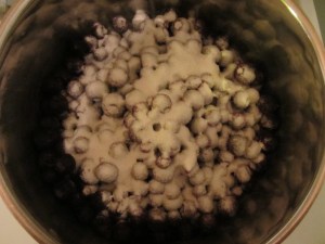 Blueberries and pectin.