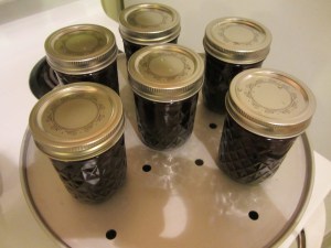 Jars in the steam canner.