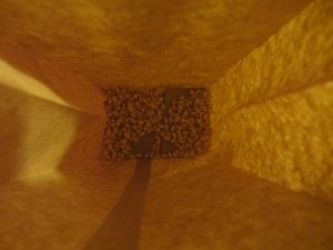 Popcorn in a brown bag.