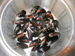 Slightly blurry photo of cleaned mussels.