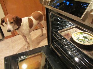 Obligatory dog shot.