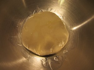 Dough in large bowl with olive oil.
