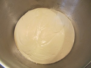 Dough after ~24 hours.
