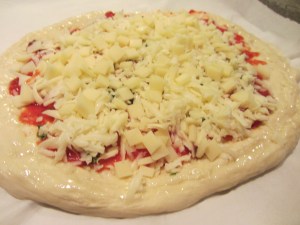 Pizza topped with cheese.