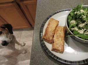 Coonhounds will eat tofu.