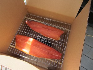 Salmon placed in DIY cardboard smoker, ready to be smoked.