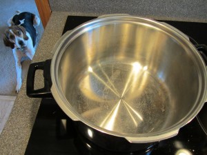 Pressure cooker heating. Dog waiting.