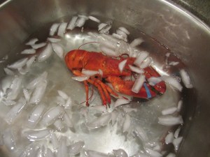 Par cooked lobster in the ice bath.