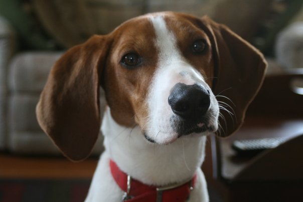 224075_1040779094361_6486_n